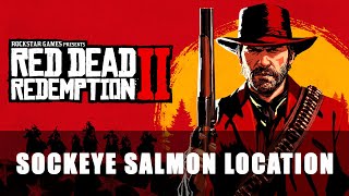 Red Dead Redemption 2 Sockeye Salmon Location [upl. by Revert]