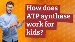 How does ATP synthase work for kids [upl. by Yzzo]