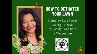 How to Dethatch Your Lawn A Step by Step Power Raking Tutorial [upl. by Aridnere]