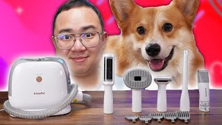 Best Dog Grooming Vacuum Kit in 2023 [upl. by Senskell]