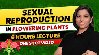 Sexual Reproduction in Flowering Plants Class 12 One Shot All Theory amp PYQs NEET 2024 Ritu Rattewal [upl. by Boothe]