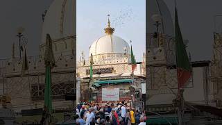 Ajmer Urs 2024 Live Khwaja Garib Nawaz Urs 2024 Ajmer Sharif Urs 2024 Ajmer Sharif dargah urs [upl. by Ayouqes]