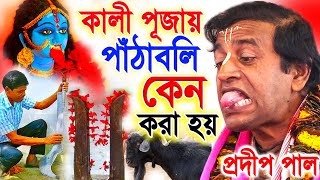 কালী পূজার পাঠা বলি করা কী ঠিক  প্রদীপ পাল কীর্তন  pradip pal new kirtan [upl. by Lamdin]