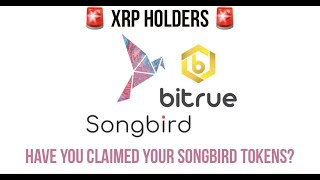 XRP holders now able to access free Songbird SGB tokens from Flare airdrop [upl. by Sharp]