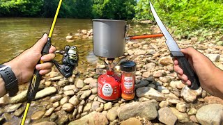 Eating ONLY What I Catch for 24 Hours Creek Fishing [upl. by Justina]