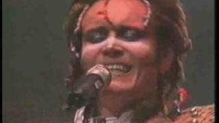 Adam amp The Ants Killer in the home live [upl. by Phillis]