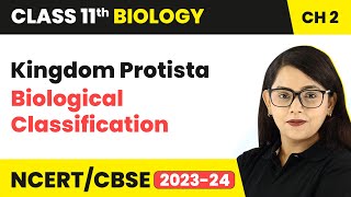 Kingdom Protista  Biological Classification  Class 11 Biology Chapter 2  NCERTCBSE [upl. by Atsahs48]