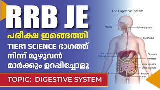 RRB JE 2024  New Notification  Exam date  Basic Science Rank making Topics  Digestive system [upl. by Leanard987]