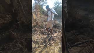 removing 3 snouted Cobras in the same hole  winter den [upl. by Rew]