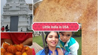 VLOG  LITTLE INDIA IN USA  NEW JERSEY [upl. by Ambrogino855]