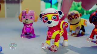 Paw Patrol  Mighty Pups NL [upl. by Whitebook]