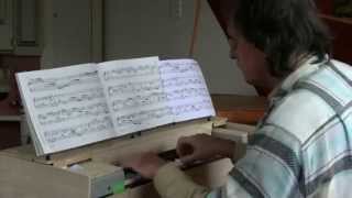 Froberger  Canzona in F major  Gerard van Reenen harmonium [upl. by Natica]