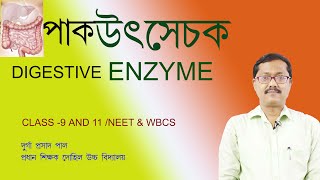 enzyme in bengali digestive enzyme bengali  neet wbcswbbselife science class 9ptyalinpepsin [upl. by Yarg]