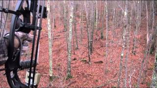 Massachusetts Bow Huntself filmed [upl. by Alimaj]