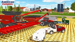 BIG CORN HARVEST ON THE CATTLE FARM NEW GRAIN CART amp 16 ROW CORN HEAD  AMERICAN FARMING [upl. by Eada445]