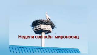 Миро внутреннего мотива в сосуде внешних обстоятельств Неделя свв женмироносиц 2024 г Еп Игнатий [upl. by Mcgee289]