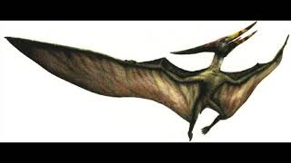 Pteranodon Sound Effects [upl. by Yrrad624]