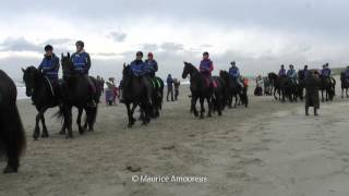 400 friese paarden op strand Callantsoog [upl. by Ardnuhsed]