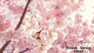 Vivaldi  Four Seasons Spring 1Hour Classic [upl. by Lennahc482]