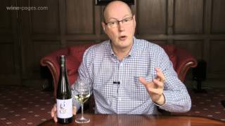 Morrisons Gruner Veltliner Austria wine review [upl. by Nefets911]