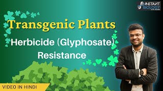 Herbicide Glyphosate Resistance in Transgenic Plants geneticengineering plantbiotechnology [upl. by Noxid]