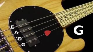 Bass Tuner  Standard Bass Tuning E A D G 4 Strings [upl. by Forsyth387]