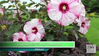 Proven Winners® Gardener Channel Proven Winners® MustHave Perennials [upl. by Naiditch]