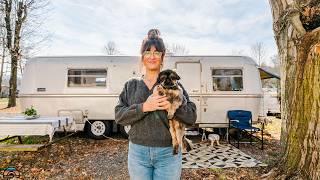 Interior Designer Shares Her Cozy RV Tiny Home [upl. by Yesnnyl906]