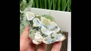 8th Vein Orbicular Sea Ocean Jasper Round Eye Bubble Natural Raw Crystal Specimen 188g [upl. by Fredericka]