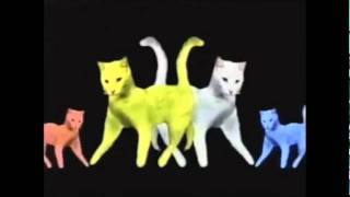 Purina Cat Chow Song Commercial [upl. by Francoise]