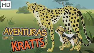 🐆 Aventuras com os Kratts  Conheça uma Chita [upl. by Carolan]