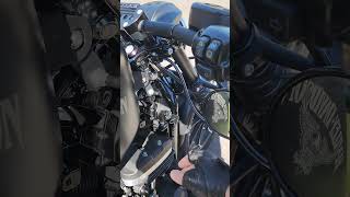 Custom Harley Davidson Sportster Iron 883 start up [upl. by Reynold]