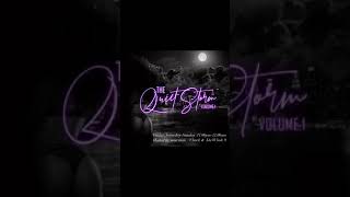 The Quiet Storm volume 1 [upl. by Nywroc]