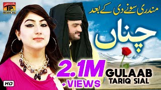 Gulaab  Channa  Tariq Sial  Latest Punjabi And Saraiki Song 2019 [upl. by Ateikan]