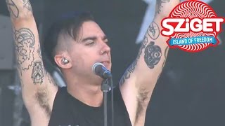 AntiFlag Live  This Machine Kills Fascists  Sziget 2014 [upl. by Nallac113]