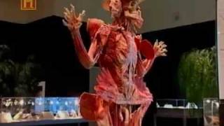 Dr Gunther von Hagens  History Channel Brasil [upl. by Alded]