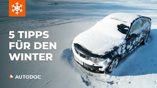 5 Autotipps für den Winter  Tipps von AUTODOC [upl. by Ury]