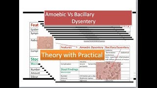 Amoebic Dysentery versus bacillary dysentery [upl. by Notserp]