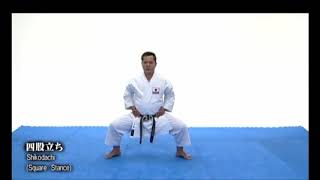 剛柔流 Gojuryu karate basic stances FOR BEGINNERS [upl. by Anaeco306]