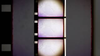 Vertical 4K Old Film 16mm film strip filter effect Kodak scrolling shorts  Snowman Digital [upl. by Kriste899]