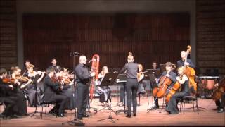 Terje Bjørn Lerstad Concertino for Contrabassoon and Chamber Orchestra III Movement [upl. by Dafodil]