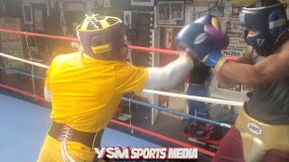 Raymond Ford vs Eliezer Olmeda Sparring Rounds 13 [upl. by Siwel143]