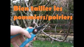 taille dhiver des pommiers et poiriers [upl. by Ardnaxela]