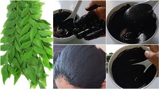 ಮನೆಯಲ್ಲಿ ಮಾಡಿ ಕರಿಬೇವಿನ ಸೊಪ್ಪಿನಿಂದ Hair Dye  Home made hair dye from Curry leaves 🍃  Hair Colour [upl. by Christan]