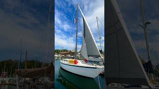 New staysail rigged up Thanks Scott sailing northsails boatlife ragdolls pennytheboatcat sail [upl. by Ydnelg69]