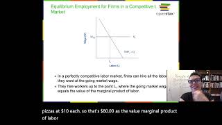 Chapter 14  Labor Markets and Income [upl. by Emmalynne]