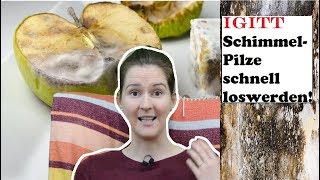 Pilze im Darm 😷 einfach und schnell loswerden [upl. by Aneeres]