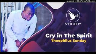 Theophilus Sunday  cry in the spirit [upl. by Darda]