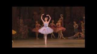 Alina Somova Queen of the Dryads Variation  Don Quixote [upl. by Oba25]