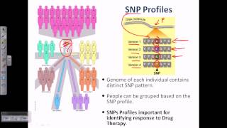 DNA profiling [upl. by Yleak]